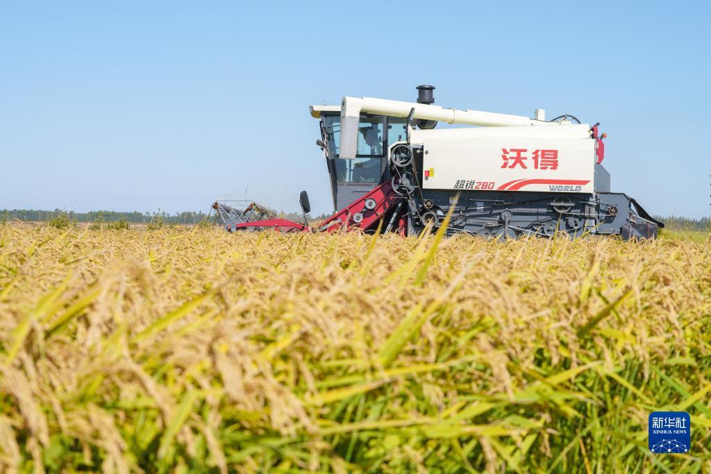 bbin旗下官网